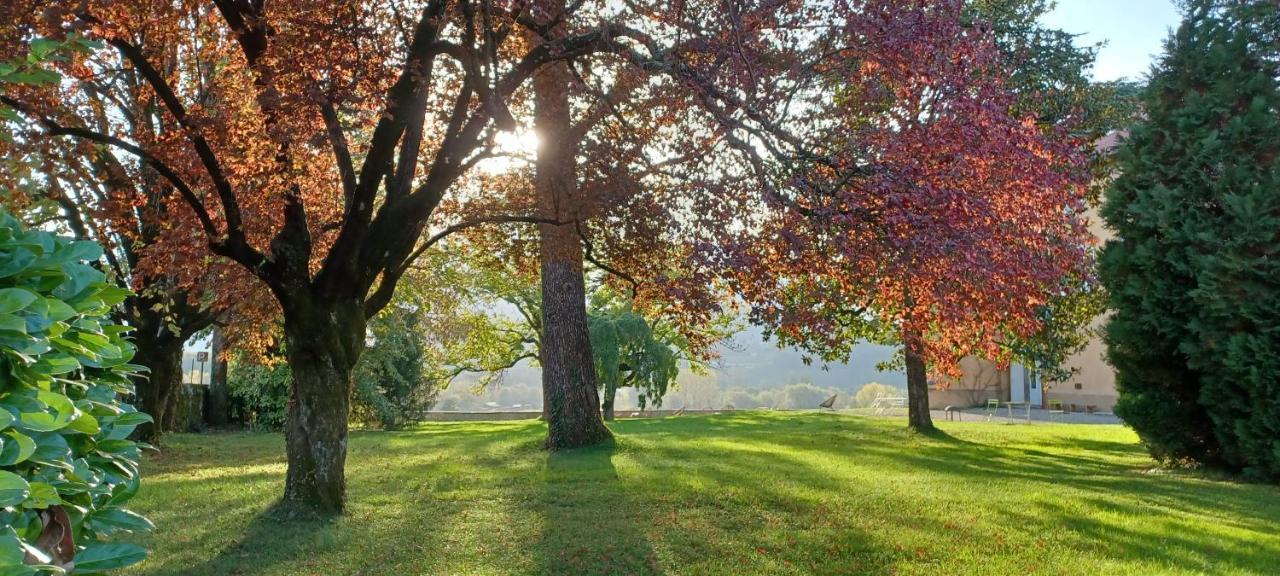 Chateau La Violette Les Marches Экстерьер фото