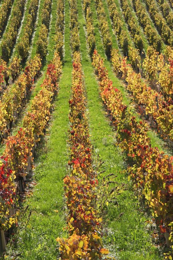 Chateau La Violette Les Marches Экстерьер фото
